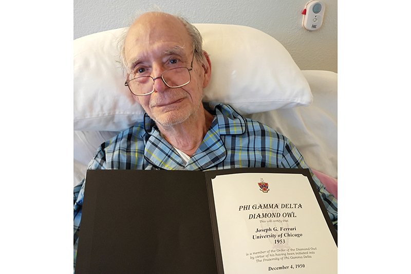 Joe Ferrari (Chicago 1953) - Diamond Owl